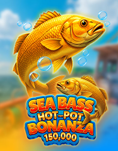 Sea Bass Hot-Pot Bonanza