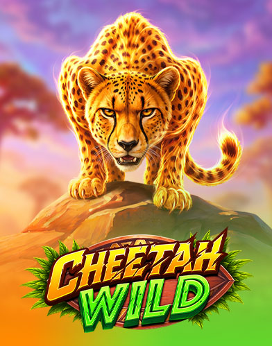 Cheetah Wild