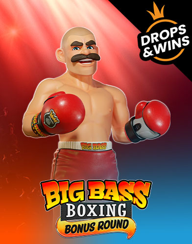 Big Bass Boxing Bonus Round